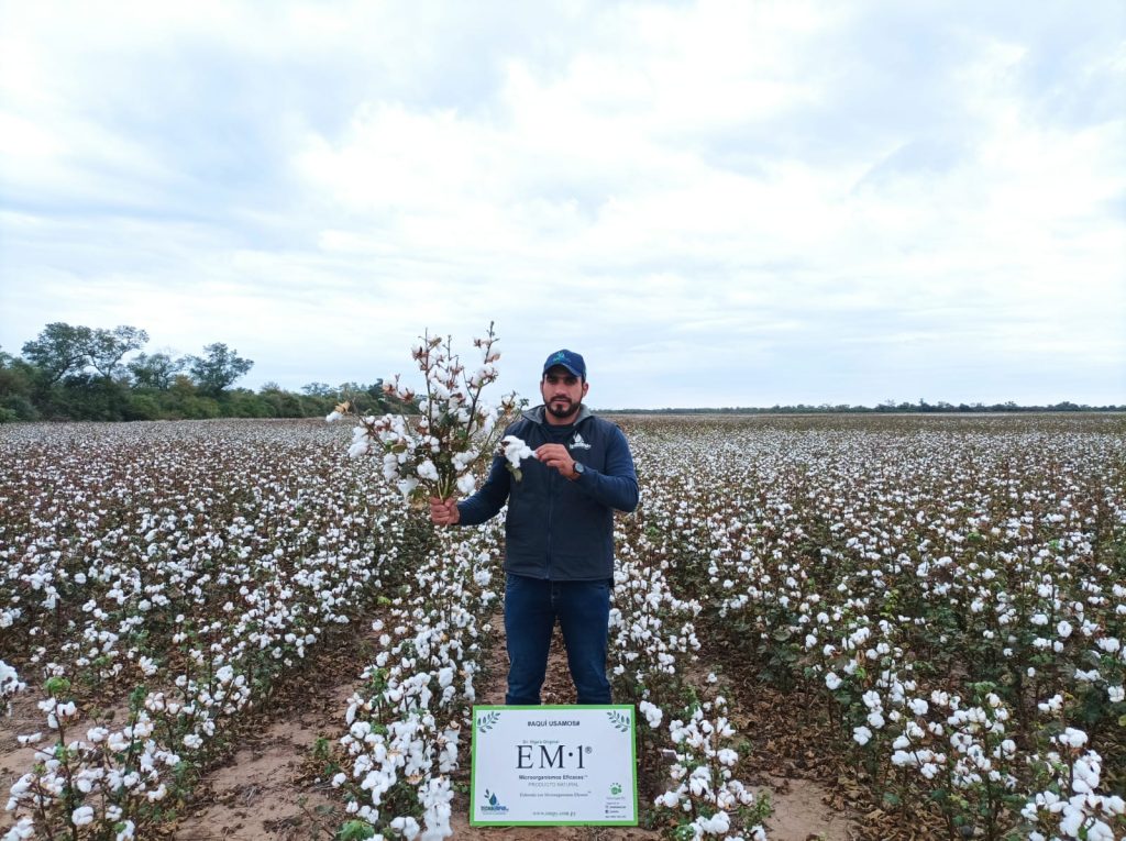 crops12316131e5c-c664-4df5-aecf-d084373f02c9