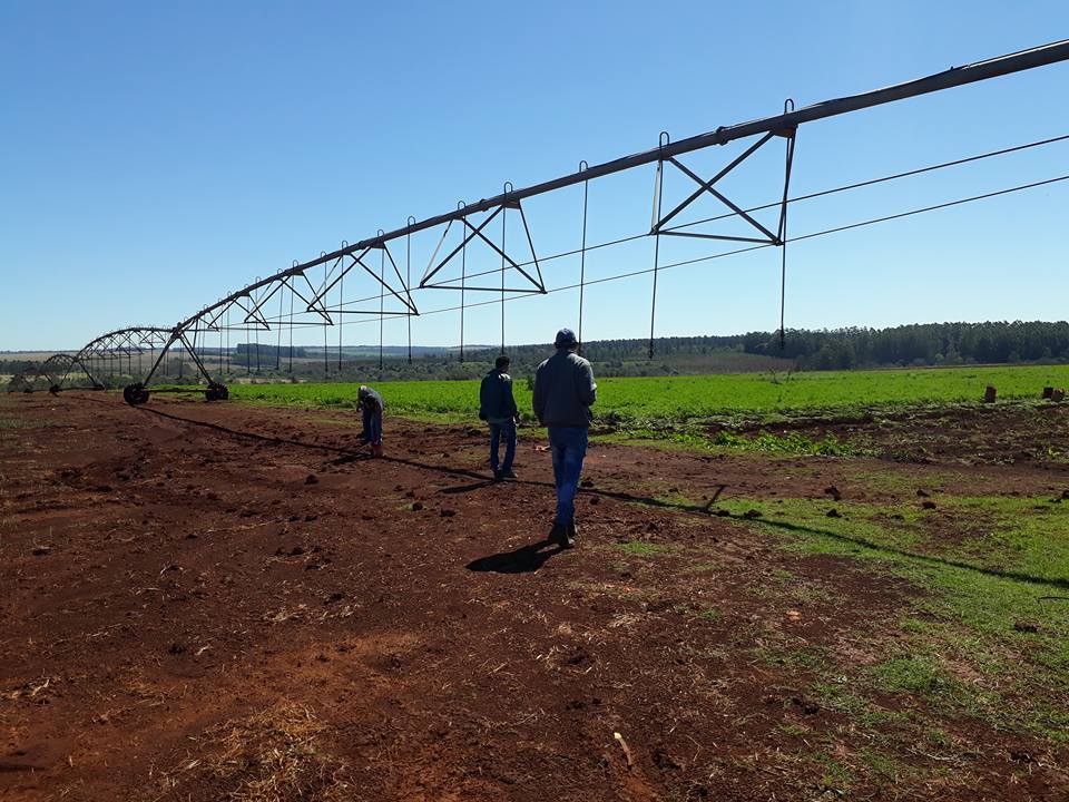 em1-3agricultura