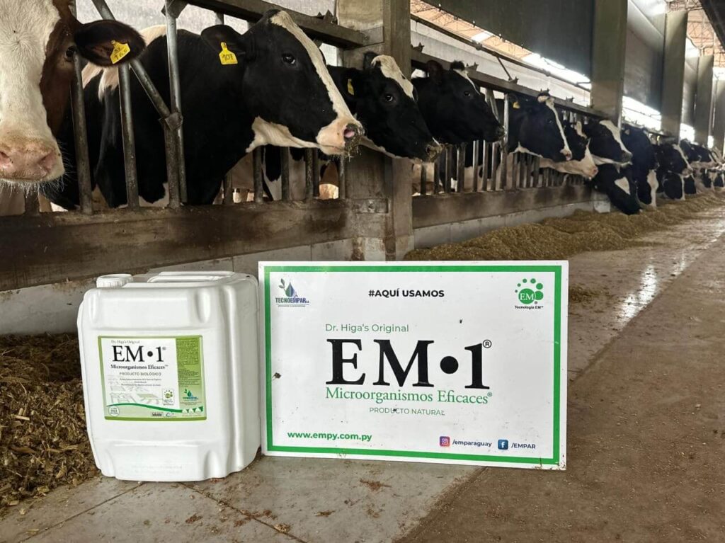 7a5528ce-2880-45c6-8f25-d66d3c318c54