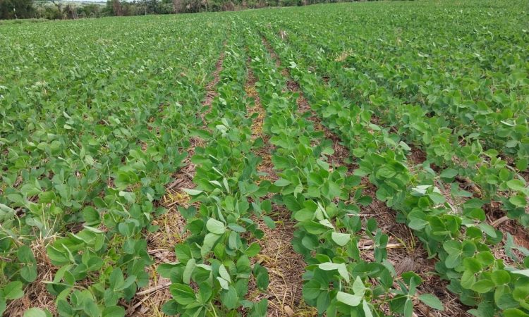 WhatsApp Image 2025-12-20 at 7.49.28 AM (1)