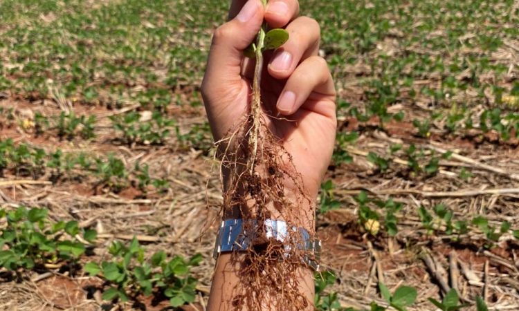 WhatsApp Image 2025-12-20 at 7.49.28 AM