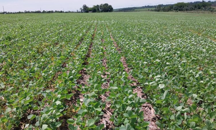 WhatsApp Image 2025-12-20 at 7.49.29 AM (1)