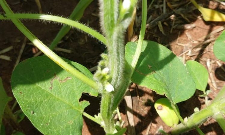 WhatsApp Image 2025-12-20 at 7.49.29 AM