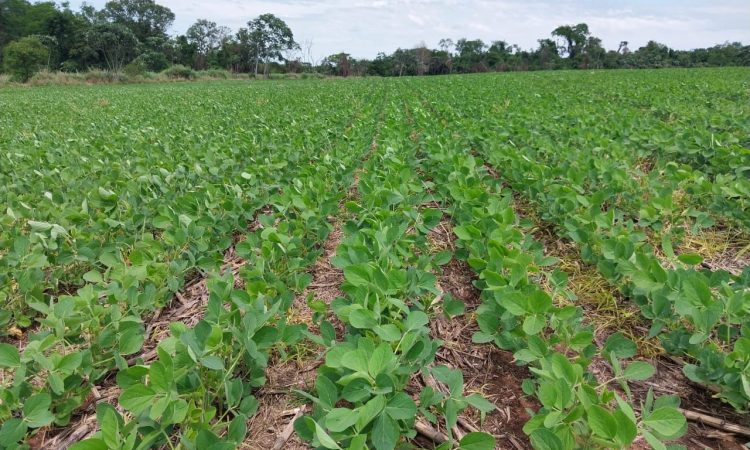 WhatsApp Image 2025-12-20 at 7.49.30 AM (1)