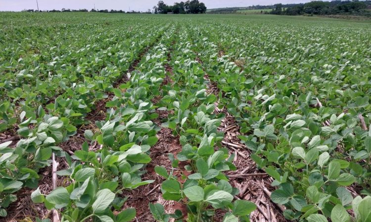 WhatsApp Image 2025-12-20 at 7.49.30 AM